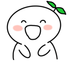 423142690