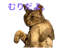 423154767