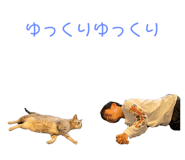 423154777