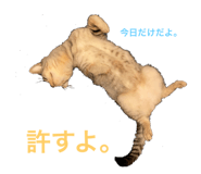 423154781