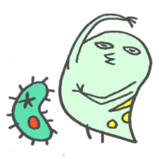 4231813