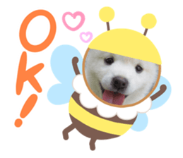 423199133