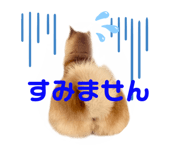 423204295