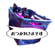 423213809