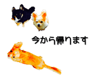 423213816