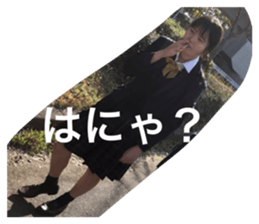 423216708