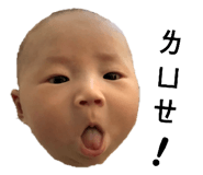 423232703