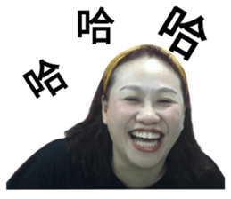 423240040