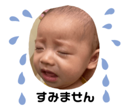 423284003
