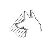 423301894