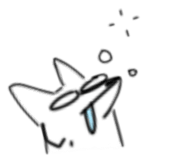 423301900