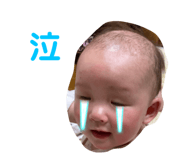 423308308