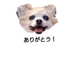 423421569
