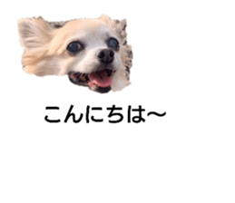 423421570