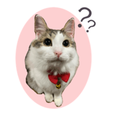 423489383
