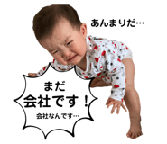 423504883