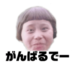 423515246