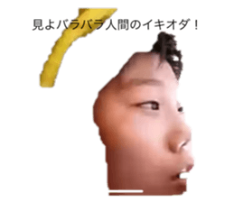 423525354