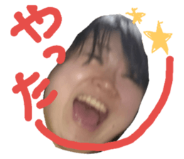 42354403