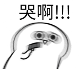 423577878