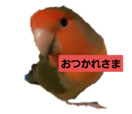 423611560