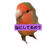 423611562