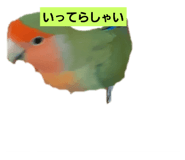423611563