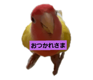 423611565