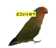 423611566