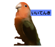 423611569