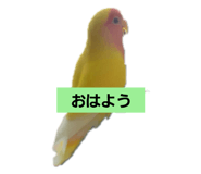 423611570