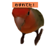 423611571