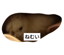 423611742