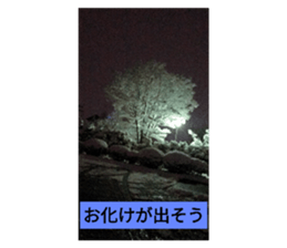423611744