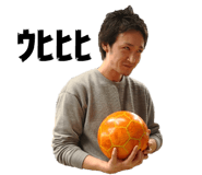 42365578