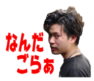 42365591
