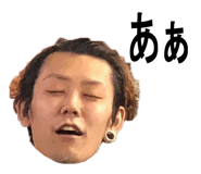 42365602