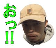 42365606