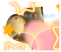 423694588