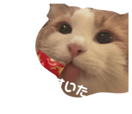 423697361