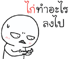 42372646