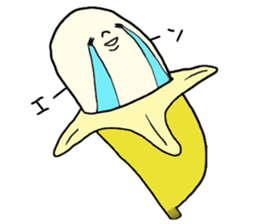4237523