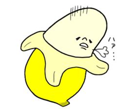 4237535