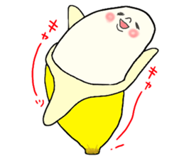 4237555