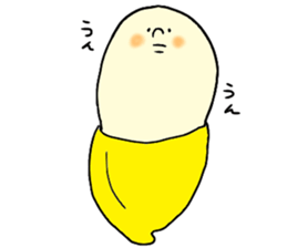 4237558