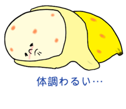 4237559