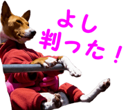 423794593