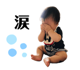 423818558