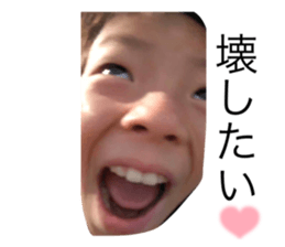 423818567