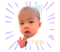423834796